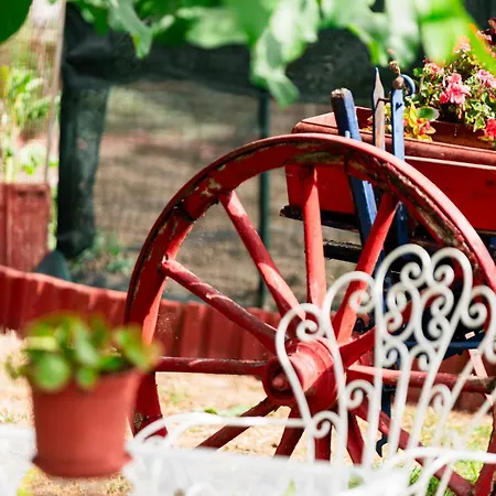 Сasa de vacaciones Zeusplace Red Roses Traditional House *