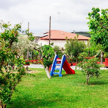 Zeusplace Red Roses Traditional House *